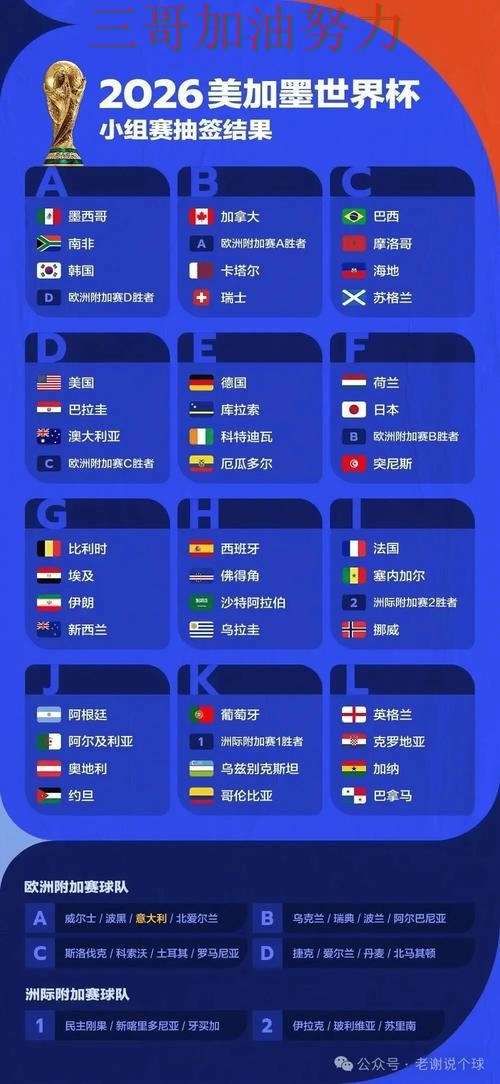 世界杯买球平台推荐哪个好指南：实测对比全流程解析（世界杯赛事中心）