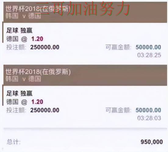 世界杯买球平台推荐哪个好指南：实测对比全流程解析（世界杯赛事中心）
